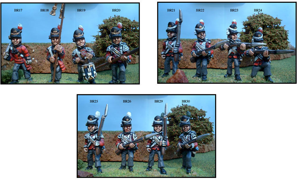 LINE INFANTRY IN BELGIQUE SHAKO